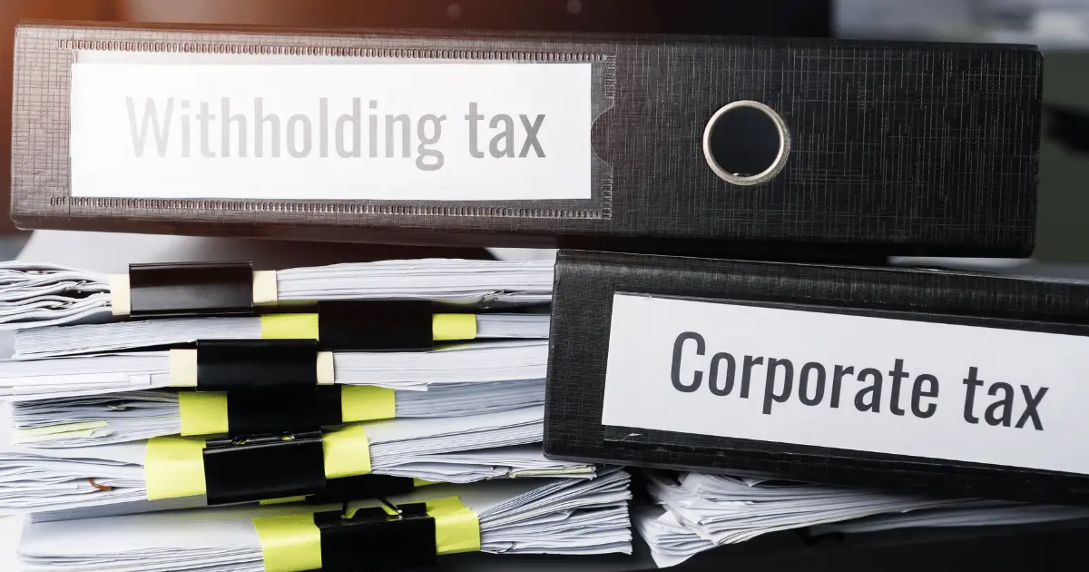 Types of business tax documents that need translating for international purposes